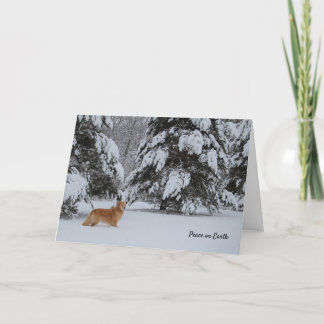 Peace on Earth Holiday Card