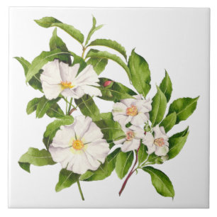 'Peace on Earth' on a Ceramic Tile