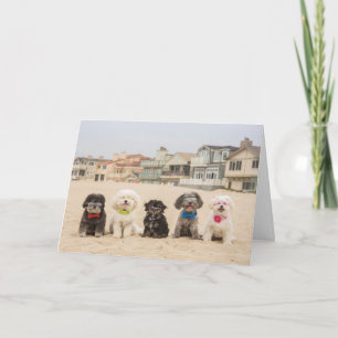 Peace on the Beach Card