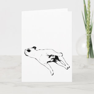 Peace & Paws Card