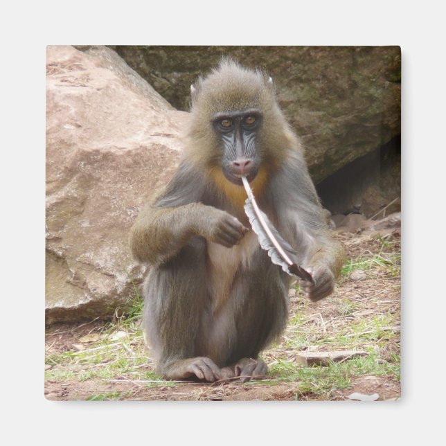 Peace pipe magnet (Front)