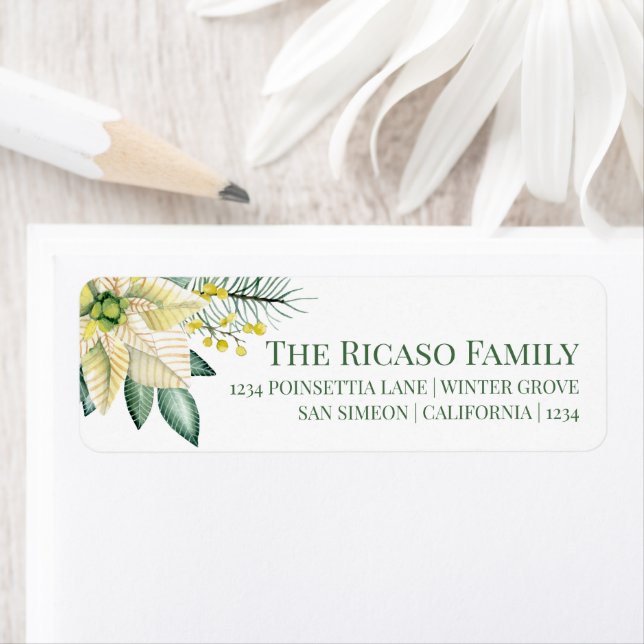 Peace Poinsettia Christmas Winter Flower Foliage (Insitu)