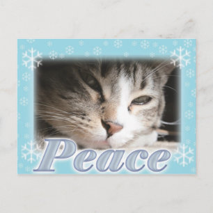 Peace Postcard