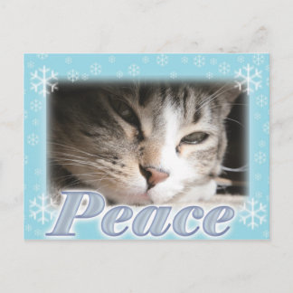 Peace Postcard