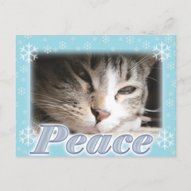 Peace Postcard (Front)