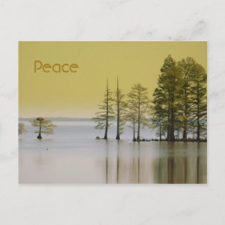 Peace Postcard