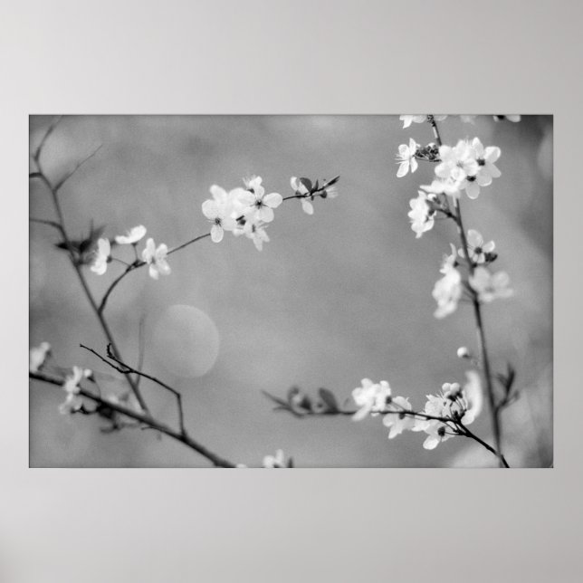 PEACE POSTER (Front)