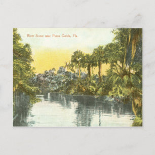 Peace River vintage scene, Punta Gorda Florida Postcard