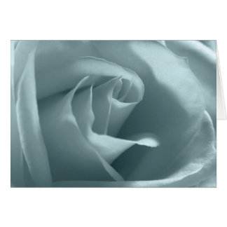 Peace Rose