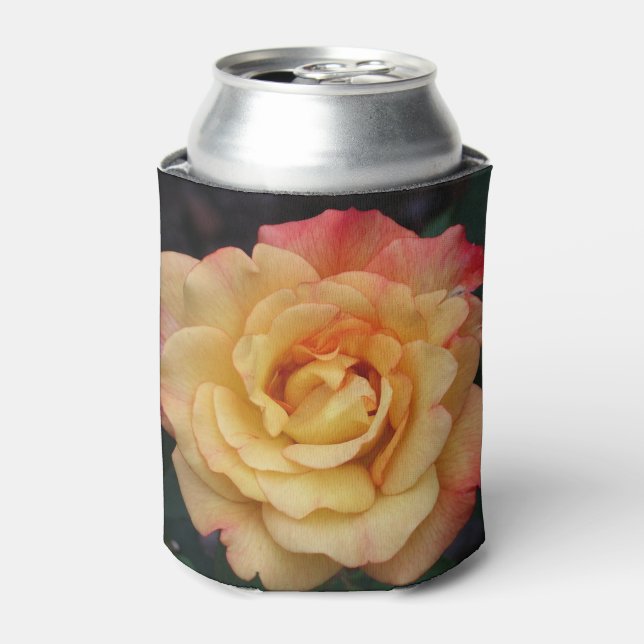 Peace Rose Beautiful Pink and Yellow Floral Can Cooler (Can Front)