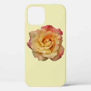Peace Rose Beautiful Pink and Yellow Floral iPhone 12 Case