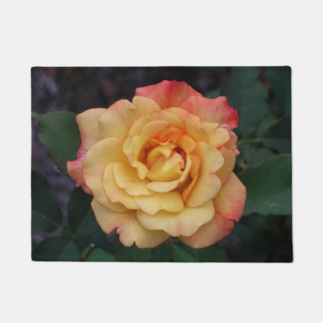 Peace Rose Beautiful Pink and Yellow Floral Doormat (Front)