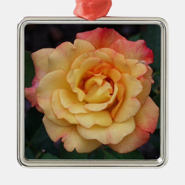 Peace Rose Beautiful Pink and Yellow Floral Metal Tree Decoration (Front)