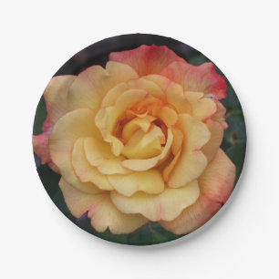 Peace Rose Beautiful Pink and Yellow Floral Paper Plate
