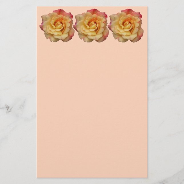 Peace Rose Beautiful Pink and Yellow Floral Stationery (Front)