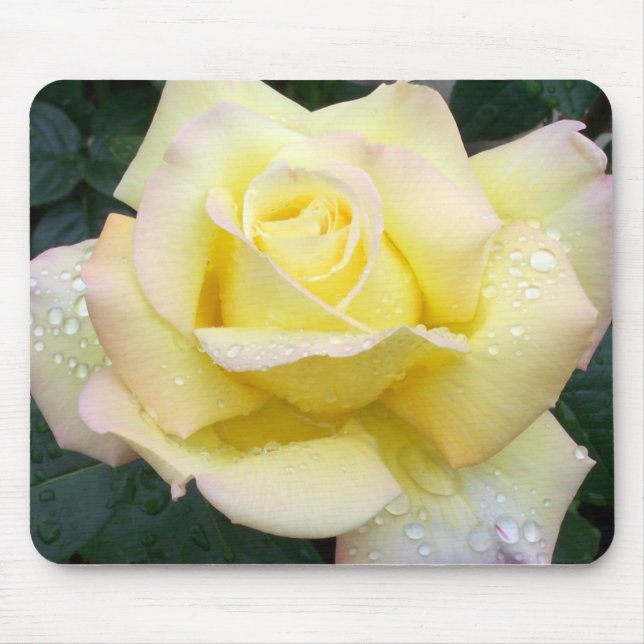 Peace Rose Mousepad (Front)