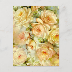Peace Roses Postcard