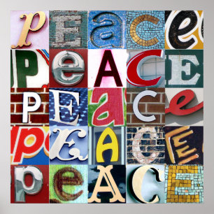 "PEACE Signs" Poster