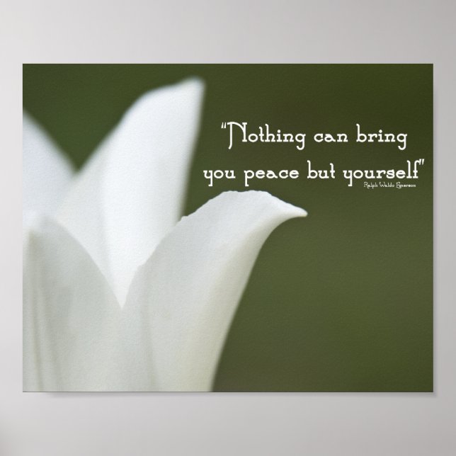 Peace Tulip Poster (Front)