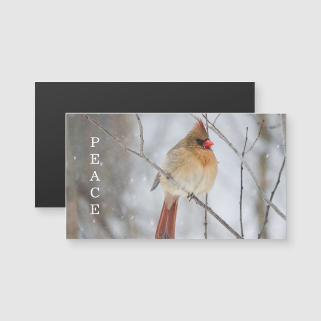 Peace Winter Cardinal Photo Magnet Card (Front/Back)