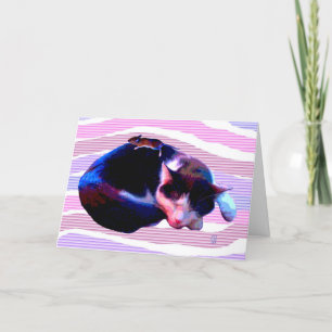 Peaceable Kitty Holiday Card