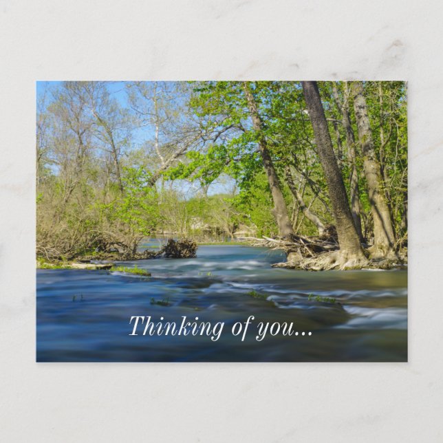 Peaceful At The River Postcard (Front)