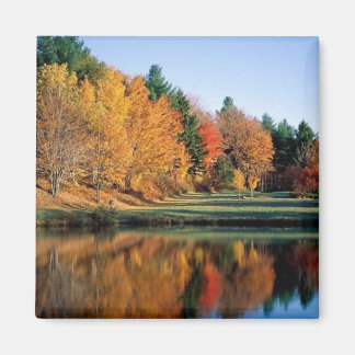 Peaceful Autumn In Vermont Magnet