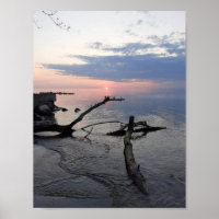 Peaceful Beach Scene