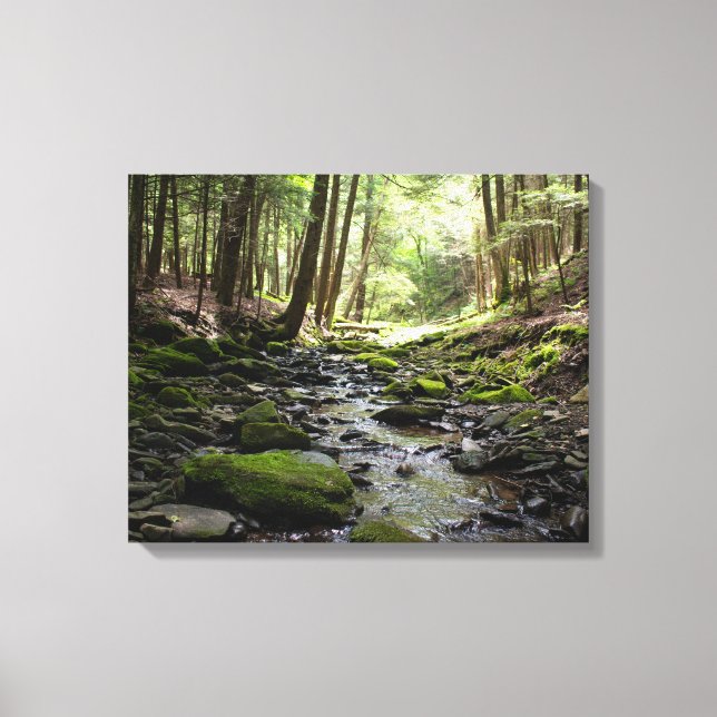 Peaceful Brook in the Woods Canvas Print (Front)