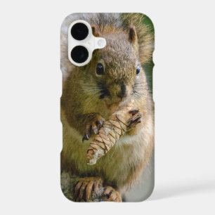 Peaceful Brown Squirrel in the Wild