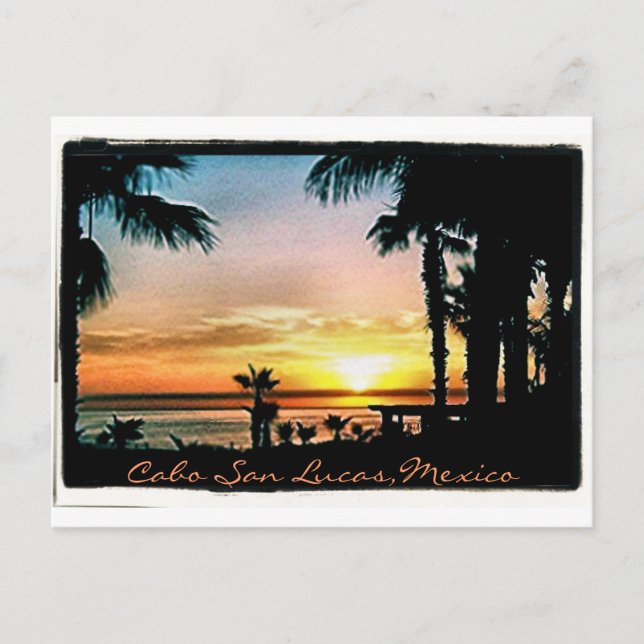 Peaceful Cabo Sunset Postcard (Front)