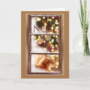Peaceful Cat Inside a Snowy Window Christmas Card