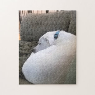 Peaceful Chubby Puppy Dog Sleeping on Couch Jigsaw Puzzle