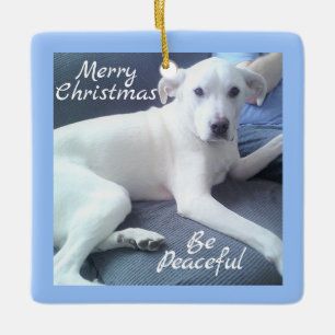 Peaceful Cute White Dog Sitting With Dad Blue Ceramic Ornament