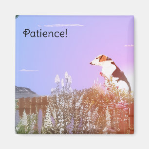 Peaceful Dog Magnet