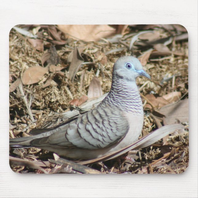 Peaceful Dove - Geopelia placida Mouse Mat (Front)
