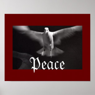 Peaceful Dove Poster