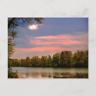 Peaceful Elegance Postcard