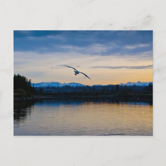 Peaceful Evening Postcard (Front)