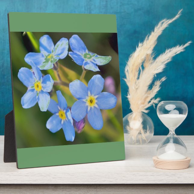 Peaceful Floral Forget Me Not Plaque (Side)