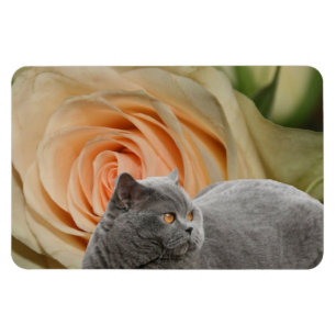 Peaceful Floral Magnet