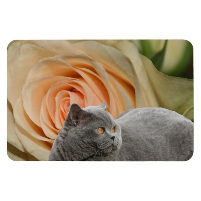Peaceful Floral Magnet (Horizontal)