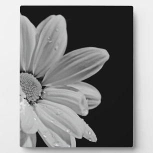 Peaceful Floral Plaque
