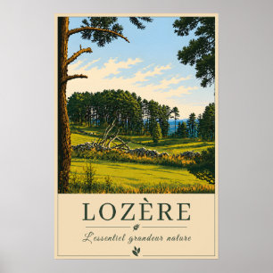 Peaceful Forest Meadow Poster