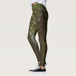 Peaceful Forest With Golden Light Photo Legging