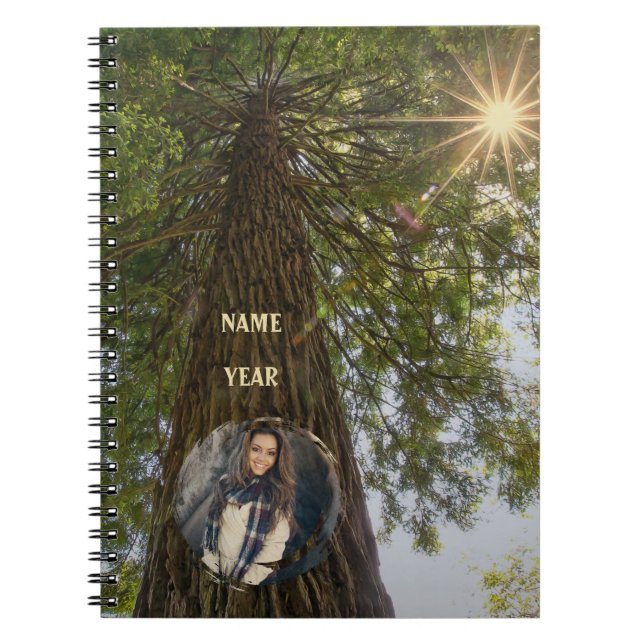 Peaceful Forest with Golden Light Photo Notebook (Front)