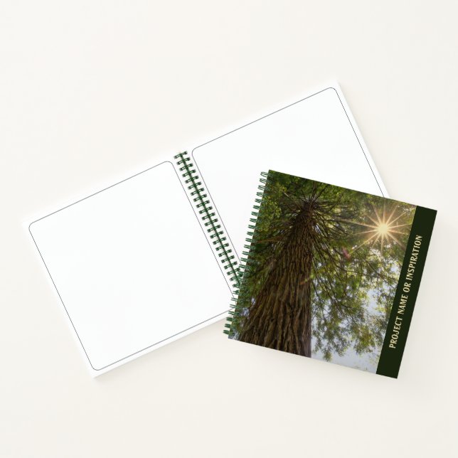 Peaceful Forest with Golden Light Photo Sketch   Notebook (Inside)