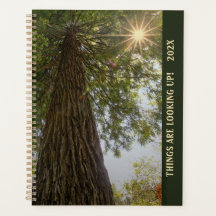 Peaceful Forest with Golden Light Planner