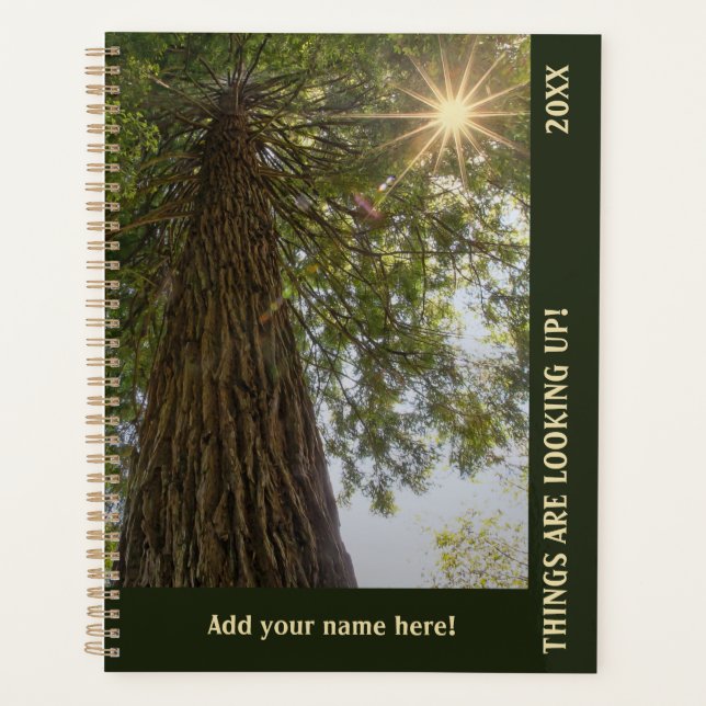 Peaceful Forest with Golden Light Planner (Front)