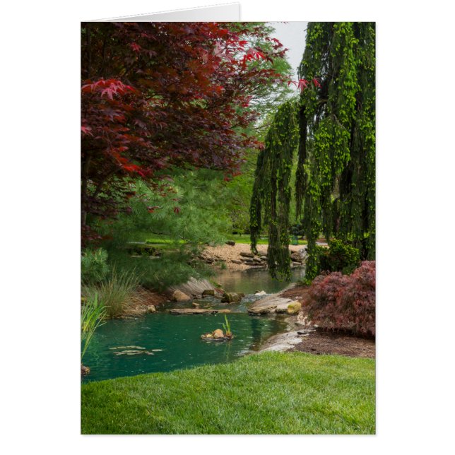 Peaceful Garden (Front)